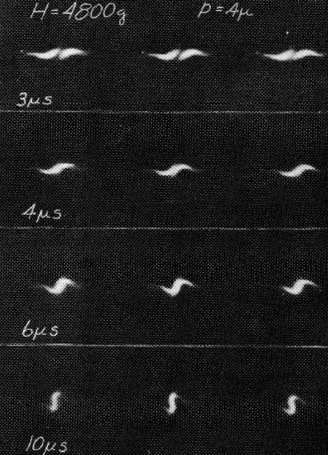 Laboratory plasmoids maintaining discrete boundaries, AI generated
