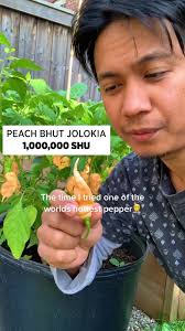 World's Hottest Pepper Challenge Gone Wrong