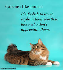 Cats Are Like Music It S Foolish To Try To Explain Their Worth To Those Who Don T Appreciate Them Cats Cat Quotes Beautiful Cats