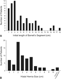 Effect Of Hiatal Hernia Size And Columnar Segment Length On