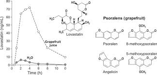 Grapefruit Juice An Overview Sciencedirect Topics