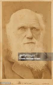 18 Herbert Rose Barraud Photos & High Res Pictures