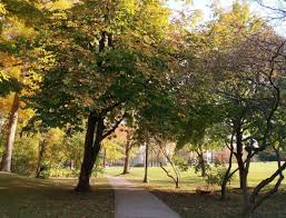 Canada's tenth largest city, london is undoubtedly a university town. London Ontario Where I Found Wonder In The Ordinary Youth Journalism International