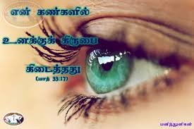 For Thou Hast Found Grace In My Sight Exodus 33 17 Bible Words Bible Quotes Tamil Bible