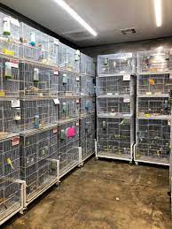 El Granero Pet Shop 15700 Atlantic Ave Compton Ca 90221 Usa