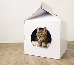 Maybe you would like to learn more about one of these? Rumah Kucing Murah