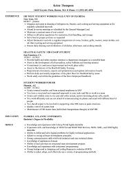 Think about how the different layouts, language and examples of experience given contribute to the overall effectiveness of the cv. Hr Student Resume Samples Velvet Jobs