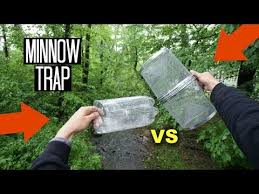 Making my first homemade minnow trap. What S The Best Minnow Trap To Buy Or Make