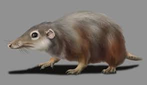 The Dinosaurs And Prehistoric Animals Of Texas Prehistoric Animals Prehistoric Wildlife Animals
