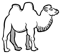 Original file at image/png format. Art Camel Monochrome Photography Png Clipart Royalty Free Svg Png