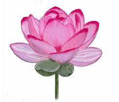 Maybe you would like to learn more about one of these? How To Draw A Lotus Flower Step By Step Easy Lotus Drawing For Kids With Color