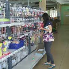 Modifying fish to make them more attractive as pets is increasingly controversial. Photos At Harvest Fish Pet Pet Store