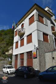 Image result for isolona