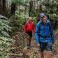 Hardy Gully Nature Plus Interpretive Park Walk event in Kallista VIC