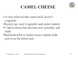 Premium camel milk ice cream. The Camel Milk Younas M 1 K Ishaq