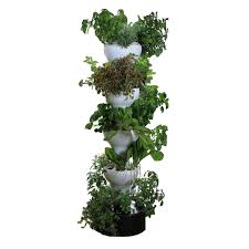 $51.67 per month for 12 months. Foody 8 Vertical Hydroponic Garden Tower