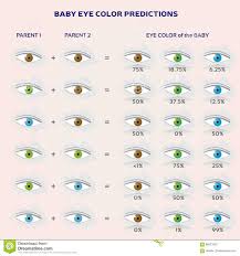 Baby Eye Color Prediction Chart Icons In Blue Green And