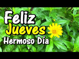 Ver más ideas sobre buenos dias feliz dia, feliz día, buenos dias. Buenos Dias Feliz Y Bendecido Jueves Abre Este Bello Mensaje Ten Un Bonito Dia Youtube
