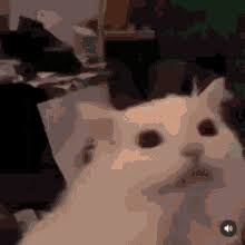 Waffles Meme Gifs Tenor waffles meme gifs tenor