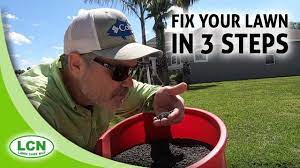 Fall lawn care | aeration, overseed, starter fertilizer, milorganite fun! 42 Grass Lawn Ideas In 2021 Lawn Grass Lawn Care