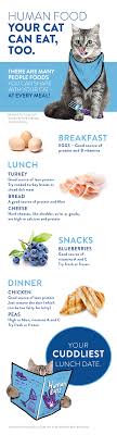 for a list of human food that s good and tasty for your cat click here coolforcats catcarefood catbehaviorideas cathealthfa kitten care cat care pets