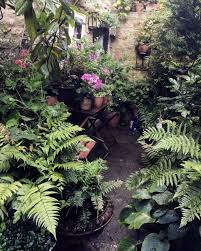 Ask The Expert Design Tips For A Shady Courtyard Garden Courtyard Garden Small Courtyard Gardens Courtyard Gardens Design