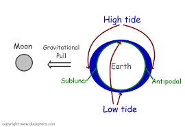To move up and down very quickly or to shake. Earth Science For Kids Ocean Tides