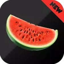 Descargar la última versión de melon vpn para android. Melon Vpn Free Apk 4 6 Download For Android Download Melon Vpn Free Apk Latest Version Apkfab Com
