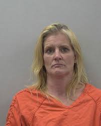 Sheriff: Gaston woman arrested for meth LEXINGTON, S.C.