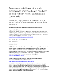 Image result for Eriocaulon teusczii