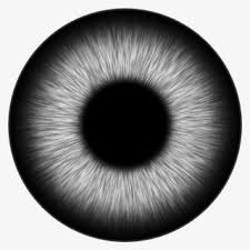 Green Eye Png Images Free Transparent Green Eye Download Kindpng Including transparent png clip art, cartoon, icon, logo, silhouette, watercolors, outlines. green eye png images free transparent