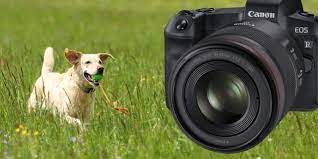 It will be part of the canon eos r lineup also in 2021. Canon Eos R Autofokus Mit Aktueller Firmware Erneut Ausprobiert Photoscala