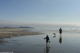 Washington State Travel 5 Destinations For Families Wildtalesof Com Long Beach Washington Washington State Travel Washington State
