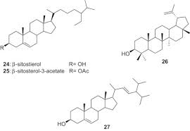 Image result for Cyphostemma heterotrichum