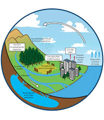 Voir plus d'idées sur le thème cycle de l'eau, science, sciences ce2. Le Cycle De L Eau France Libertes Fondation Danielle Mitterrand
