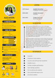 Çoçuk gelişimi bölümü cv örnekleri. Basarili Bir Ozgecmis Cv Olusturmak Icin 16 Tuyo Ve Etkileyici Cv Ornekleri Nkariyer