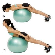 Good Mornings On An Exercise Ball Aka Swiss Ball Great Lower Back And Ab Workout It Can Be Hard To Find A Goo Back And Abs Workout Ball Exercises Exercise
