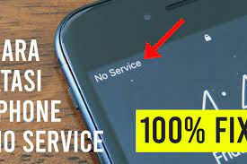 Mengetahui iPhone No Service dan Cara Memperbaikinya