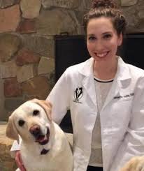 We see dogs, cats, and pocket pets! Doctors