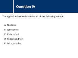 Maybe you would like to learn more about one of these? Biology Cell Biology Cell Structure I Science And Mathematics Education Research Group Supported By Ubc Teaching And Learning Enhancement Fund Ppt Download