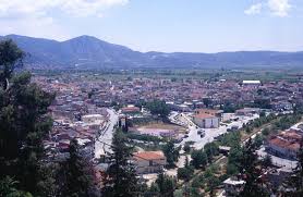 Ελάσσων αρσενικό ή θηλυκό, έλασσον ουδέτερο. Elassona Wikipedia