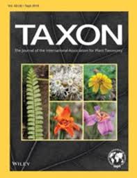 Image result for Ypsilopus