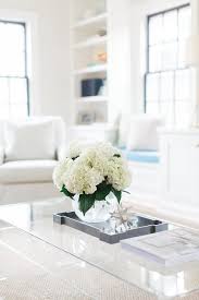 Wahfay acrylic coffee table, 32 l x 16 w x16'' h x 3/4'' thick, modern clear rectangle table for living room with 1.5mm pvc table cover protector. Acrylic Coffee Table With Gray Tray Transitional Living Room