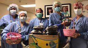 Maybe you would like to learn more about one of these? Publix Easter Bunny Delivers