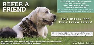 New ABC Graduates — Autumn 2021