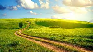 Check spelling or type a new query. Hd Wallpaper Images Backgrounds Nature 1920x1080 Wallpaper Flare