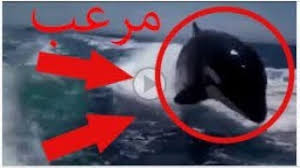 Maybe you would like to learn more about one of these? Ù…Ø±Ø§Ø¯Ù Ù‚Ø§Ø±Ø¨ ØªÙ†Ø²ÙŠÙ„ Ø§Ù„Ù…ÙˆØ³ÙŠÙ‚Ù‰ Mp3 Ù…Ø¬Ø§Ù†Ø§
