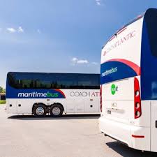 Home | Maritime Bus