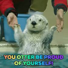 Image result for congratulations gif