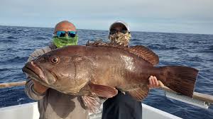 Fishing reports from new jersey. Excel Sportfishing San Diego Ca
